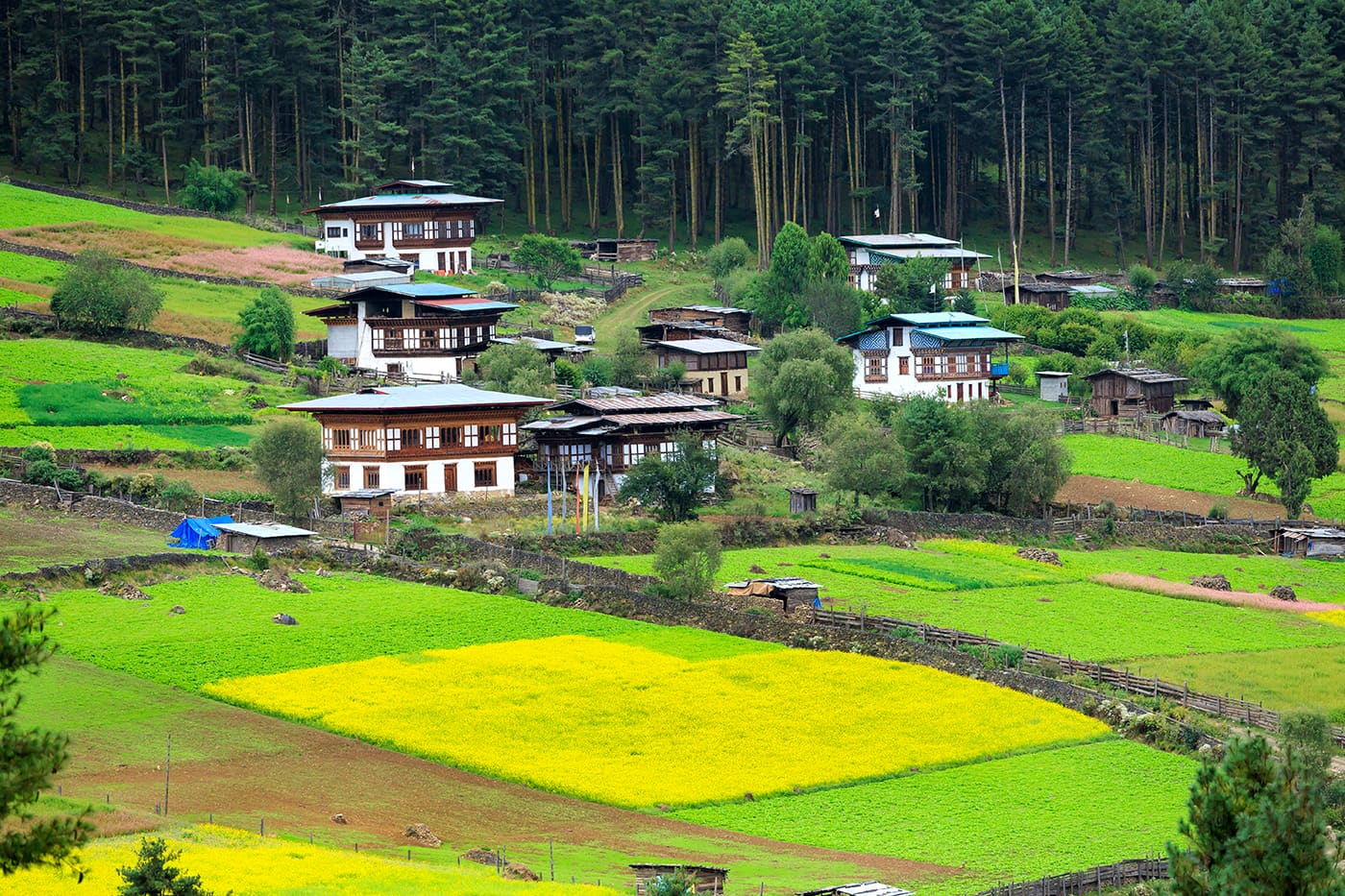 Green summer valleys in Bhutan